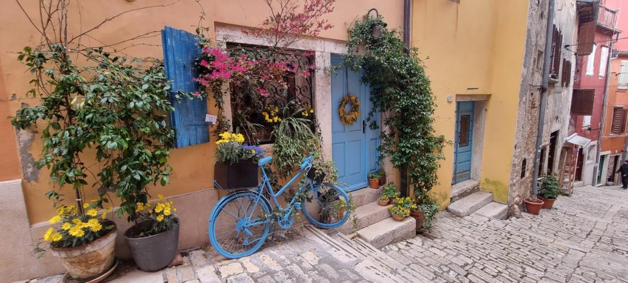 Casa 39 Apartment Rovinj